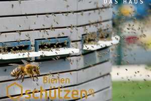 Ihr individuelles Zuhause: Bien-Zenker EVOLUTION 165 in Knittlingen – Enzkreis – Vorschaubild 5