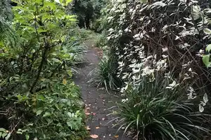 Einfamilienhaus mit Garten in Bockum, Mozartstraße 4 – Mozartstraße 4, 47800 Krefeld – Vorschaubild 15