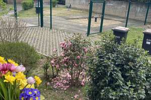 3-Zimmer-Wohnung an ruhiges Paar ohne Kinder zu vermieten – Die vollständige Adresse der Immobilie erhältst du vom Anbieter., 50767 Pesch, Köln – Vorschaubild 11