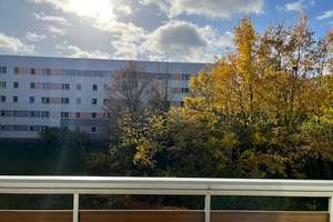 Provisionsfrei:  vermietbare 3-Raumwohnung mit Balkon – Mechthildstraße 48, 39128 Neustädter Feld, Magdeburg – Vorschaubild 11