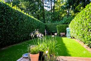 Wohnen zwischen Grün und City mit Atrium und Garten – Parkstr. 47, 41061 Gladbach, Mönchengladbach – Vorschaubild 4