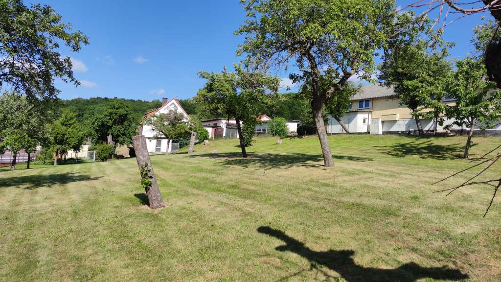 Immobilie in Nörten-Hardenberg - Tolles 2-3 Familienhaus mit tollem Ausblick zur Burg Hardenberg - Bild 4