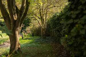 Property thumbnail 13