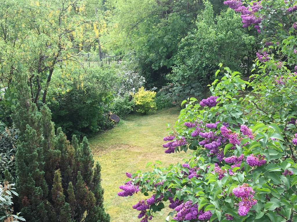 Immobilie in Wartenberg-Rohrbach - Charmantes Haus mit 60m² Wohnfläche in Wartenberg-Rohrbach - Bild 2