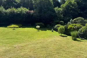 Natur Pur - Fantastisches Einfamilienhaus mit ca. 116 m² Wohnfläche und sonnigem Grundstück – Osterode am Harz (Kreis) – Vorschaubild 7