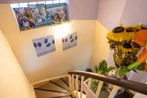 *** NEUER PREIS und ZENTRALE LAGE - EFH MIT GARTEN UND VOLLKELLER *** – Delmenhorst – Vorschaubild 2