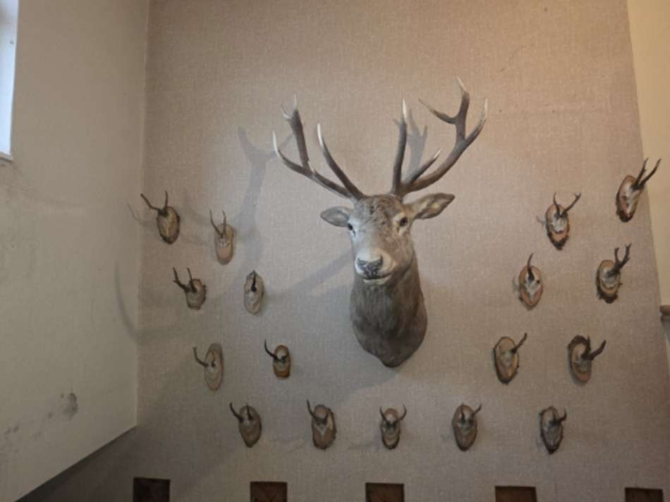 VK-1519 Dachgeschoss (1)