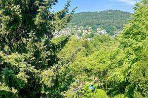 Sonniges Reiheneckhaus mit Garten und Kamin – idyllisch wohnen in Heidelberg-Schlierbach – Die vollständige Adresse der Immobilie erhältst du vom Anbieter., 69118 Schlierbach, Heidelberg – Vorschaubild 22