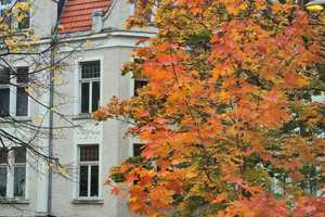 Attraktive 2-Raum-Wohnung in Köln-51105 – Köln – Vorschaubild 1
