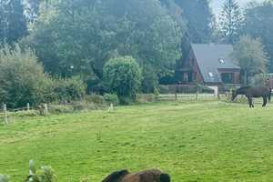 Schönes 4-Zimmer-Haus mit gehobener Innenausstattung in Feldrandlage – Ostholstein (Kreis) – Vorschaubild 12