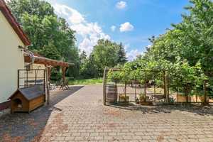 Idyllisches Bauernhaus im Oderbruch: Tradition trifft auf modernen Komfort – Märkisch-Oderland (Kreis) – Vorschaubild 2