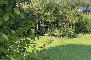 Charmante Doppelhaushälfte mit Atelier und schönem Garten in begehrter Toplage – Ingolstadt – Vorschaubild 24