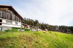 Einfamilienhaus mit Stallung in Alleinlage – Passau (Kreis) – Vorschaubild 14