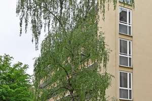 Helle 2 Zimmerwohnung am Stadtpark