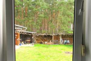 Ein traumhaftes Domizil am Vosskanal für die Ferien, zum Wohnen & zum Wohlfühlen – Oberhavel (Kreis) – Vorschaubild 16