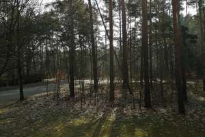 Erstbezug nach Sanierung! 3 Zi.Whg. mit Balkon in Walddrehna – Pilzheide 14, 15926 Heideblick – Vorschaubild 8