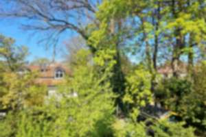 KLEINES HAUS MIT AUSBLICK AUF IDYLLISCHEN TRAUMGRUNDSTÜCK - RENOVIERUNGSBEDÜRFTIG ! – Die vollständige Adresse der Immobilie erhältst du vom Anbieter., 81247 Obermenzing, München – Vorschaubild 2