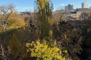 Charlottenburg! Attraktive 3-Zimmer-Wohnung mit schönem Balkon in sehr ruhiger Grünlage – Loschmidtstr. 18, 10587 Charlottenburg, Berlin – Vorschaubild 9