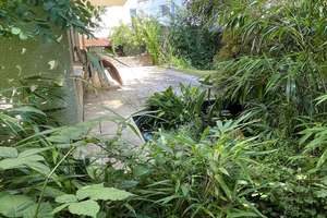 Freistehendes Einfamilienhaus mit schönen Garten.... – Die vollständige Adresse der Immobilie erhältst du vom Anbieter., 53227 Pützchen/Bechlinghoven, Bonn – Vorschaubild 14