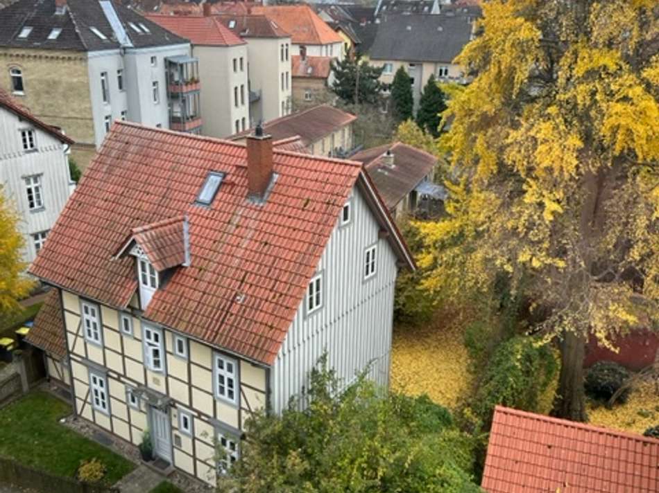 Blick vom Wohnzimmer