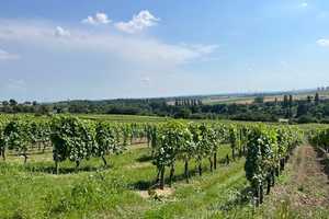 Neu! XL-Doppelhaushälfte klimafreundlich mit Keller und Luft-Wasser-Wärmepumpe: Flörsheim-Wicker – Goldbornstraße 23, 65439 Main-Taunus-Kreis – Vorschaubild 13