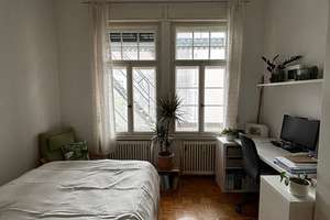 Traumhafte Altbauwohnung am Main (Sanderau) – Die vollständige Adresse der Immobilie erhältst du vom Anbieter., 97072 Sanderau, Würzburg – Vorschaubild 6