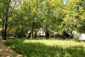Großes Grundstück & ruhige Lage – Familienhaus mit Potenzial – Storchenneststr. 15, 1259 Kleinzschachwitz, Dresden – Vorschaubild 8