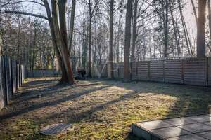 Property thumbnail 8