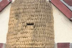 Vielseitiges Potenzial: Wohn- und Praxishaus – 49832 Freren – Vorschaubild 3