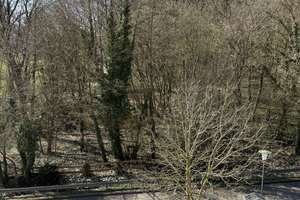 Schöne Doppelhaushälfte am Brasselsberg mit Blick ins Grüne - Haus in Top Zustand – Pangesweg 3a, 34132 Brasselsberg, Kassel – Vorschaubild 17