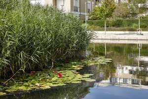 Property thumbnail 38