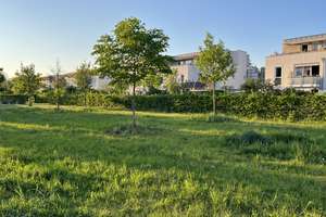 Sonnige 2-Zimmer Wohnung in Trudering mit sehr guter öffentlicher Anbindung – Die vollständige Adresse der Immobilie erhältst du vom Anbieter., 81825 Gartenstadt Trudering, München – Vorschaubild 2