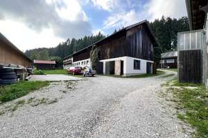 Einzigartiger Pferdehof in traumhafter Alleinlage – Naturparadies mit Wiesen, Wald und Pferdehaltung – Die vollständige Adresse der Immobilie erhältst du vom Anbieter., 84533 Marktl – Vorschaubild 62