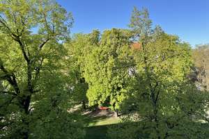 Repräsentative Stuckaltbauwohnung am Botanischen Garten zum Wohnen als auch für stilles Gewerbe – Die vollständige Adresse der Immobilie erhältst du vom Anbieter., 12203 Lichterfelde, Berlin – Vorschaubild 9