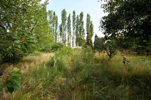 Doppelhaushälfte mit großem Garten und viel Sanierungspotenzial – Meiereistr. 11, 6847 Alten, Dessau-Roßlau – Vorschaubild 11