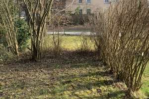 Appartement mit Terrasse und eigenem kleinen Garten in Daglfing – Gemingstraße 2, 81929 Daglfing, München – Vorschaubild 6