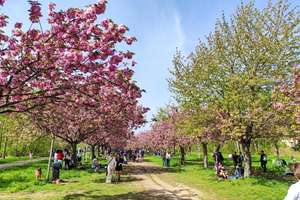 Property thumbnail 29