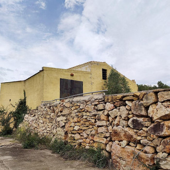 Rustikales Haus und Gut mit 68.054 m² Arbequina-Olivenbäumen und eigenem Brunnen in Partida Sinyoles