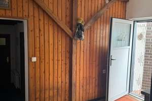Charmanter Resthof inklusive Baugrundstück in Deichnähe – Wohnen mit ländlichem Flair zu verkaufen. – Die vollständige Adresse der Immobilie erhältst du vom Anbieter., 26452 Sande – Vorschaubild 15