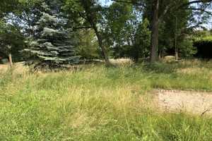 Gutshaus in Bad Dürrenberg OT Tollwitz – Natur pur und viel Raum für kreative Ideen – Saalekreis – Vorschaubild 11