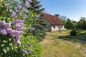 Natur pur – Einfamilienhaus mit großem Grundstück und Seenähe – Mecklenburg-Strelitz (Kreis) – Vorschaubild 1