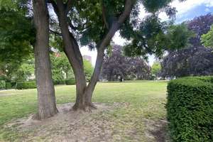 Property thumbnail 17