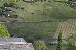 Vier Zimmern in Traben-Trarbach/Wolf mit Blick auf Mosel und Weinberge – Die vollständige Adresse der Immobilie erhältst du vom Anbieter., 56841 Traben-Trarbach – Vorschaubild 1