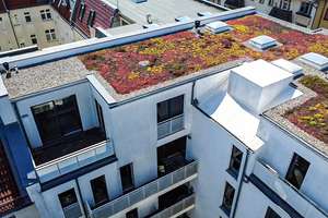 ***Modernes Penthouse mit zwei Terrassen*** – Rigaer Straße 59, 10247 Friedrichshain, Berlin – Vorschaubild 2