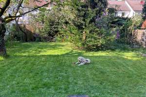  Gepflegte Doppelhaushälfte mit großem Garten