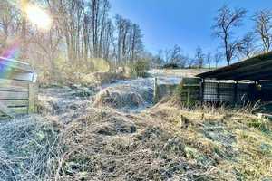 **charmantes Einfamilienhaus mit weitläufigem Grundstück in Randlage von Wissen** – Altenkirchen (Westerwald) (Kreis) – Vorschaubild 29