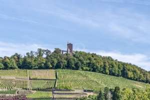 Einfamilienhaus mit Blick auf den Turmberg und sonnigem Garten – Die vollständige Adresse der Immobilie erhältst du vom Anbieter., 76227 Durlach, Karlsruhe – Vorschaubild 11
