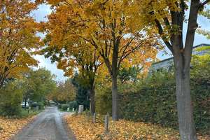 Property thumbnail 21