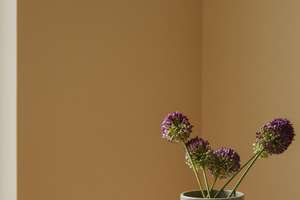 Property thumbnail 20