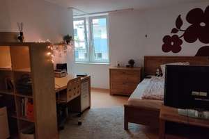 Gemütliche 1-Zimmerwohnung – 97070 Altstadt, Würzburg – Vorschaubild 12
